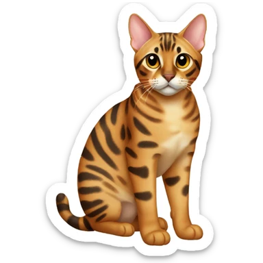 Bengal cat,Spotted Coat,short hair sticker