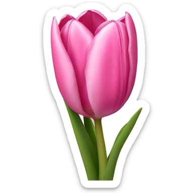 pink tulips  sticker