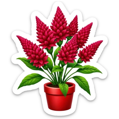 celosia plant sticker