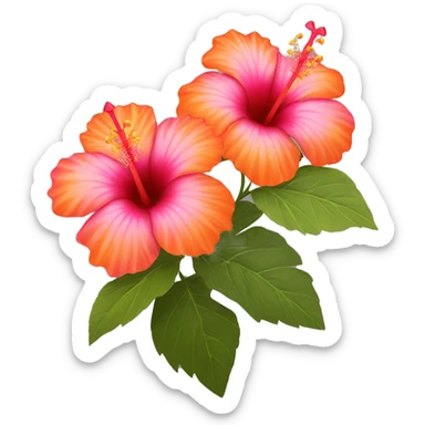 pink and orange hibiscus flowers sticker