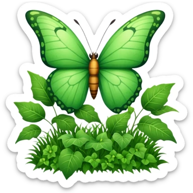 Grassy grass ivy plant bitterfly  sticker