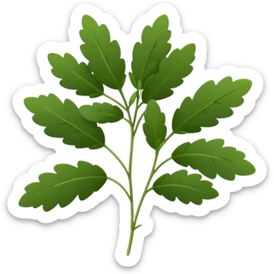 small sprig of fresh thyme with thin green stems and clusters of tiny oval deep green leaves, delicate texture, slightly woody base, dense evenly spaced leaves, soft lighting, subtle shadows, emoji scale sticker