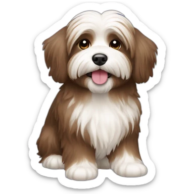 Havanese dog brown with a toy  sticker