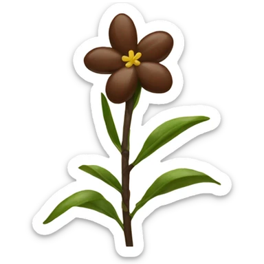 brown vanilla bean with flower sticker