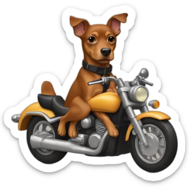 caramel-color-pinscher-dog-driving-a-motorcycle sticker