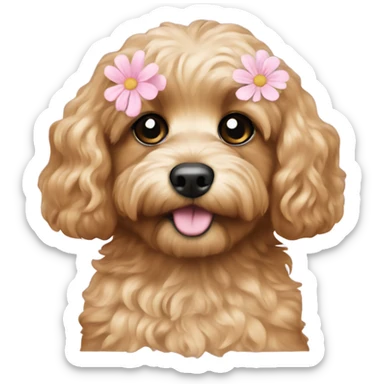  Cavapoo with light pink flower  sticker