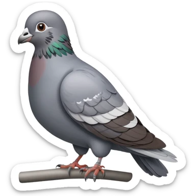 A pigeon wearing a watch  sticker