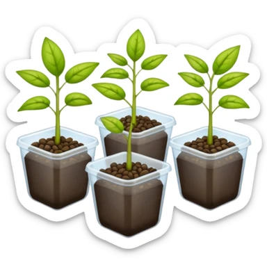 several packs of seedling seeds. Transparent background sticker