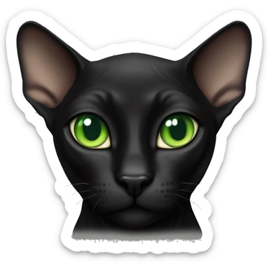 Black Sphinx cat with green eyes  sticker