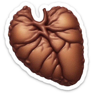 “A detailed illustration of a human liver, showing its shape, texture, and rich brown color, with subtle shading for depth.” sticker