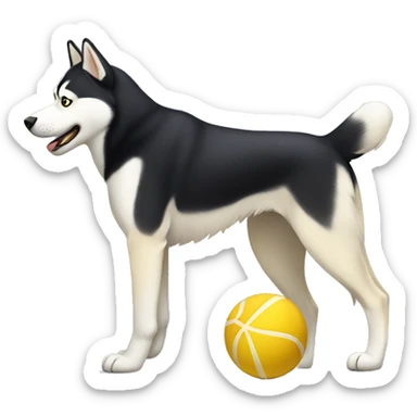 Husky playing with yellow Labrador  sticker