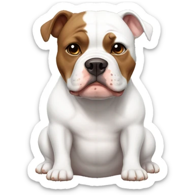 White and brown American bully medium dog, white face brown ears with a white chest and white paws in pajamas sticker