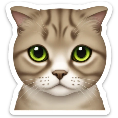 Brown Scottish fold green eyes sticker
