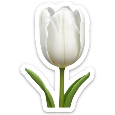 White tulipans  sticker