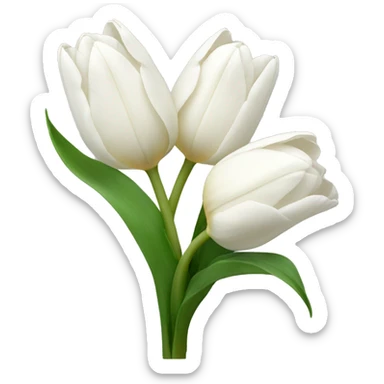 Bouquet of white tulip sticker