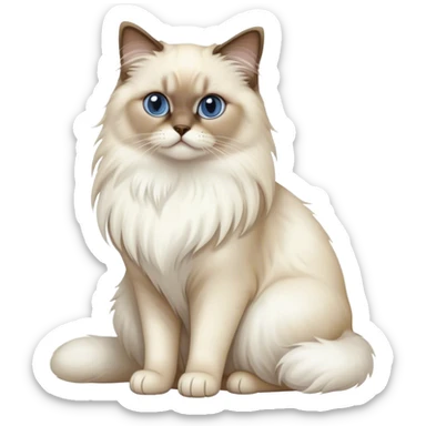 Full body birman cat long fur white color sticker