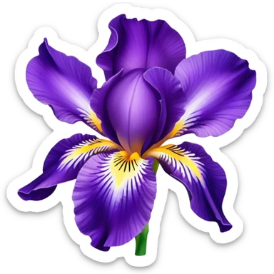 iris purple sticker