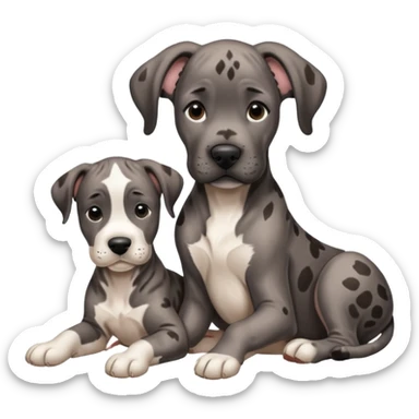 Brindle color, Great dane, baby sticker