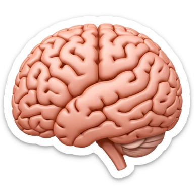 "Realistic 3D human brain emoji, detailed neural folds, soft reflections, glossy texture, subtle shadows, rounded friendly emoji shape, high resolution, transparent background" sticker