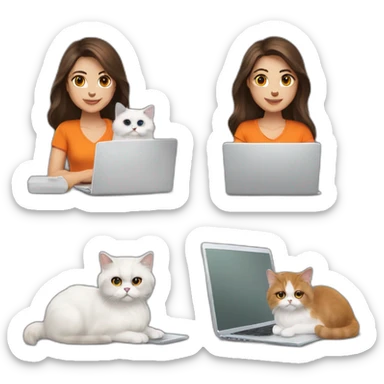 medium length hair brunette with laptop and with white and orange persian cat sticker