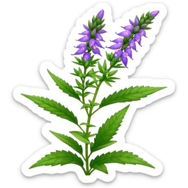Hyssop plant  sticker