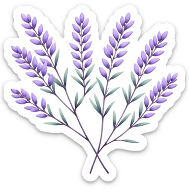 simple flower branches. The art style is clean line art with delicate watercolor textures, pastel colors, and a dominant palette of lavender, soft lilac, and muted purple. Let the branch be more elongated and have short branches on it like ears of corn. sticker