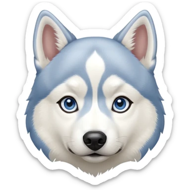 Cachorro macho husky siberiano pelagem branca e cinza claro e olhos azuis  sticker