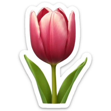 Tulip  sticker