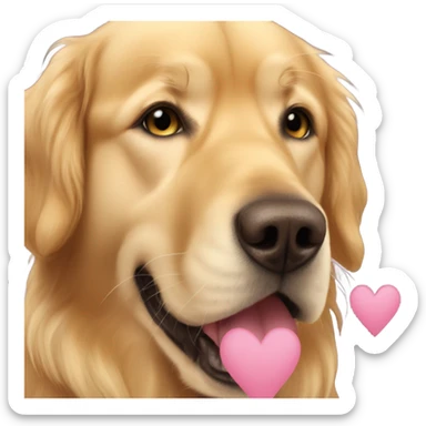 golden retriver with hearts in eyes sticker