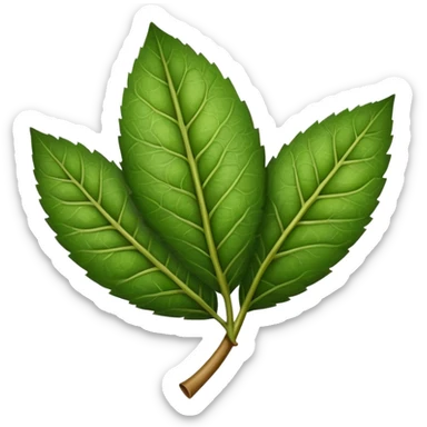 yerba mate leaf sticker