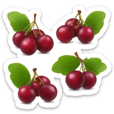 5 cranberries with leaves sticker