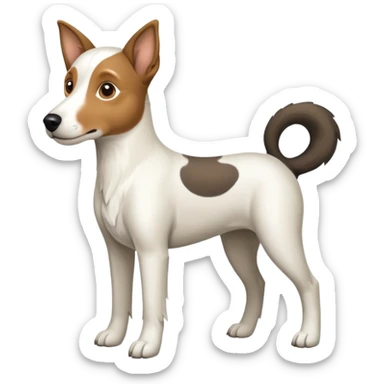 a full body large white floppy eared parson russell looking dog the size of a kelpie with light brown ears and a light brown patch on one eye and a large snout sticker