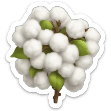 champs de cotton sticker