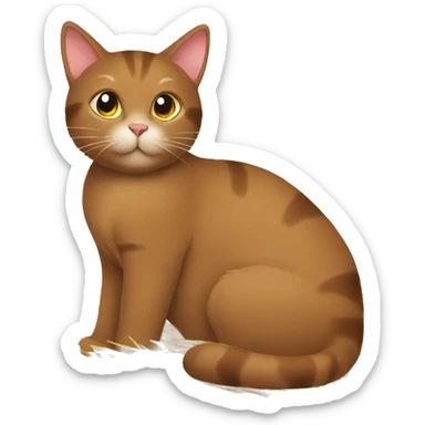 Brown cat with Christmas hay sticker