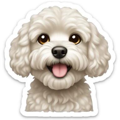 Dog maltipoo sticker