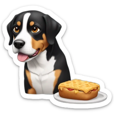 Entlebucher zennenhund eating sticker