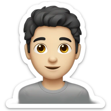 Boy white skin black hair brown eyes gray t-shirt sticker