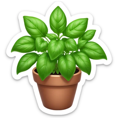 Cinematic Realistic Basil Emoji, Lush and fragrant, with vibrant green leaves that release a fresh, herbal aroma. The soft, glossy leaves are delicately arranged along slender stems, exuding vitality and flavor. Soft glowing outline, capturing the essence of freshness, growth, and aromatic delight in a blossoming basil plant! sticker