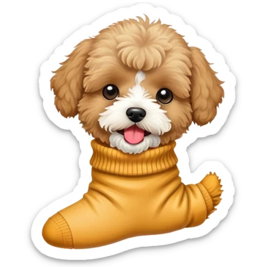  light brown maltipoo eat sock sticker