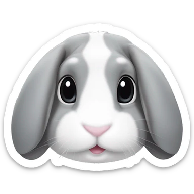 Mini lop eared rabbit, grey, with a white patch on nose and a white stripe on the top of the head sticker