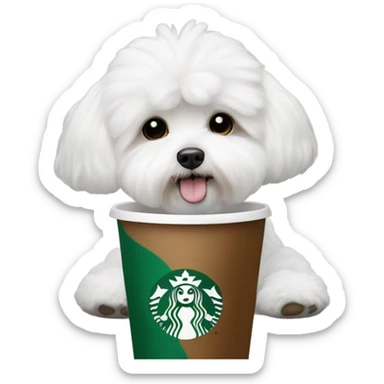I need a bichon maltés dog with coffe a Starbucks  sticker