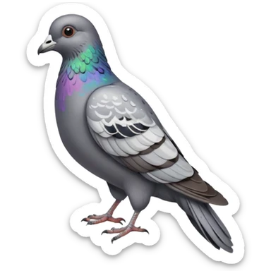 Pigeon sticker