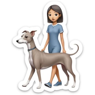 Beautiful Asian girl with cute features walking an all grey Italian greyhound with no white nose sticker