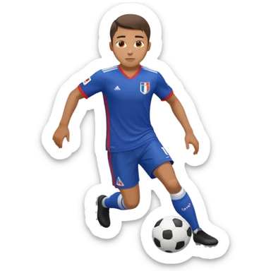 Olympique lyonnais  sticker