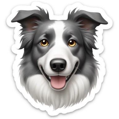 White and grey border collie sticker