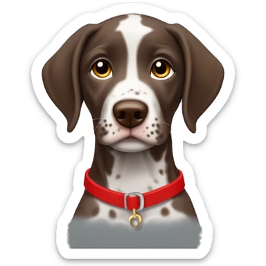 Brown spotted German short haired pointer puppy with ticking with red collar  sticker