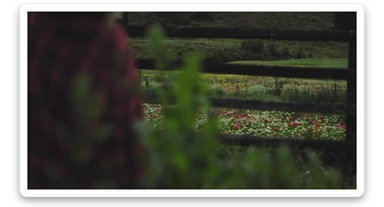 "Two shot" of a person in the foreground, blurred plants in the foreground (frame within a frame), a wooden fence and colorfull flowers in the midground, Poland, rolling hills in the background, cinematic depth of field, layered composition, natural lighting sticker