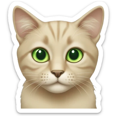 Beige cat with green eyes long hair sticker