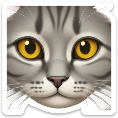 british cat with ochre eyes  sticker