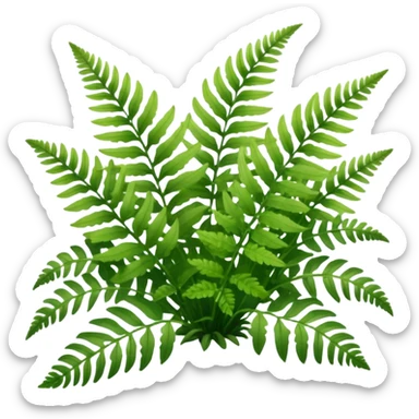 A cluster of soft green ferns growing under shaded trees.









































 sticker